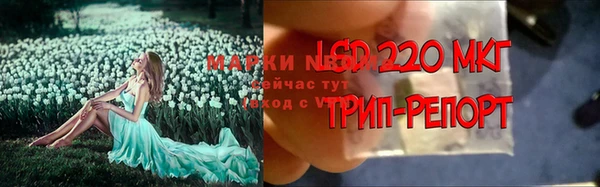 ПСИЛОЦИБИНОВЫЕ ГРИБЫ Волоколамск