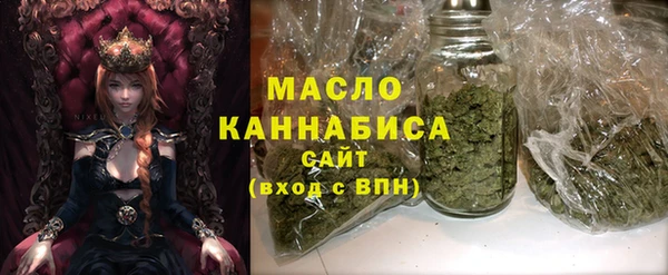 гидра Верхний Тагил