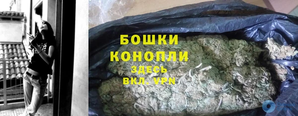 гидра Верхний Тагил
